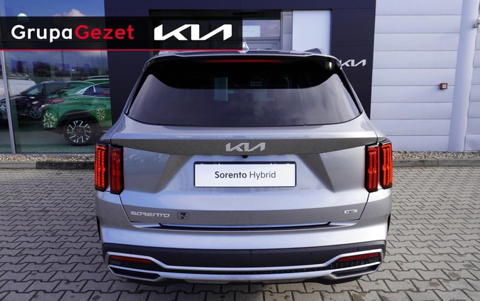Kia Sorento cena 239900 przebieg: 5, rok produkcji 2024 z Ujazd małe 46